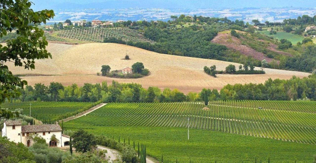 Villa Le Buche Sarteano Exterior photo